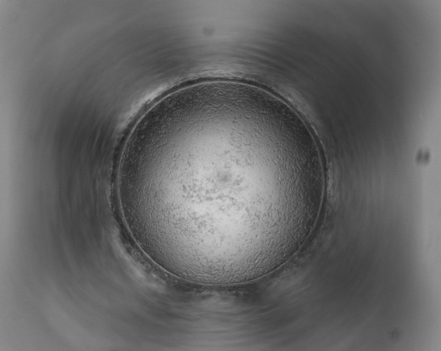 X0000112420434200908211149