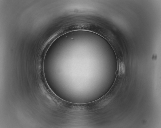 X0000112420435200908211149