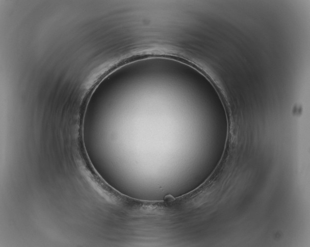 X0000112420437200908211149