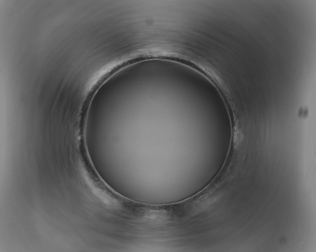 X0000112420438200908211149