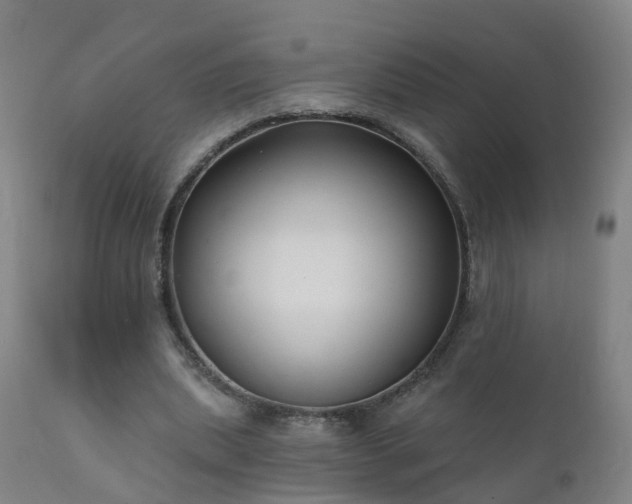 X0000112420439200908211149