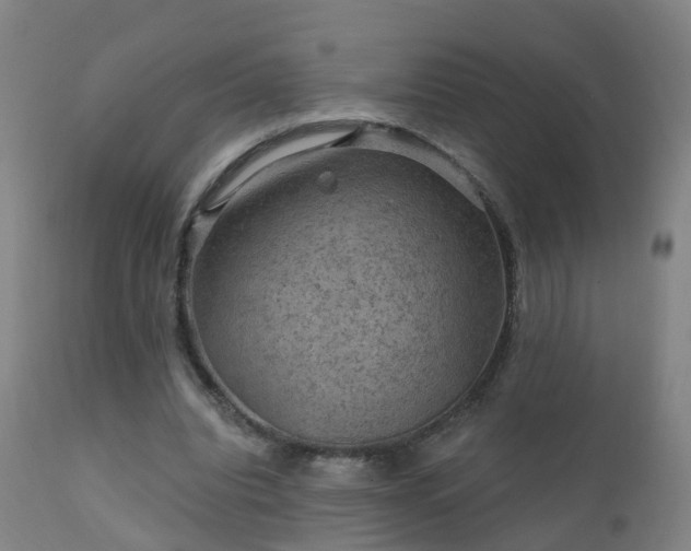 X0000112420440200908211149