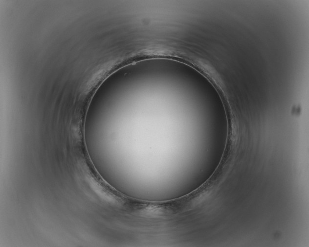 X0000112420441200908211149