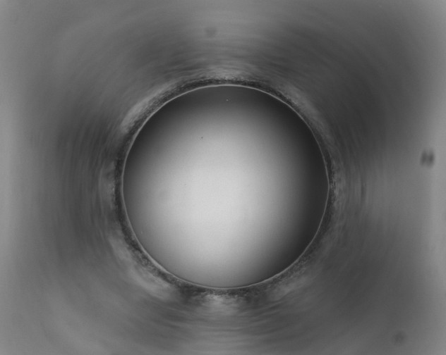 X0000112420442200908211149