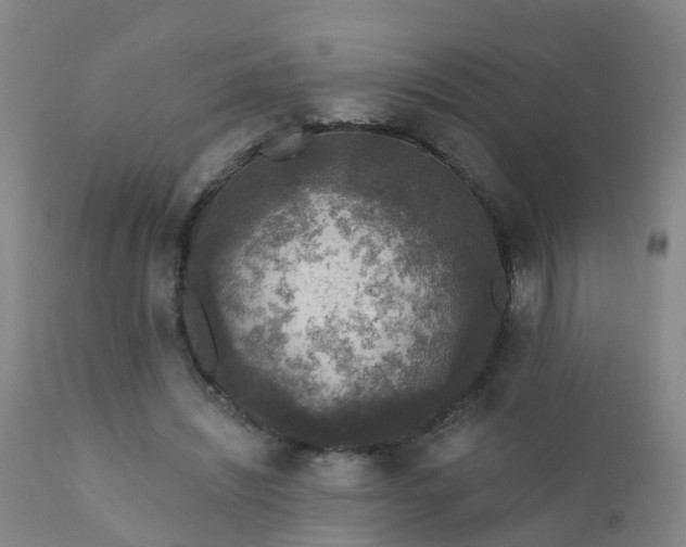 X0000112420444200908211149