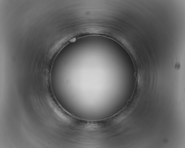 X0000112420445200908211149