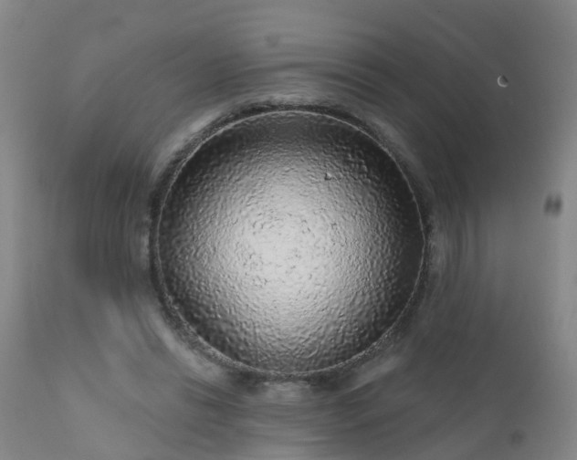 X0000112420446200908211149