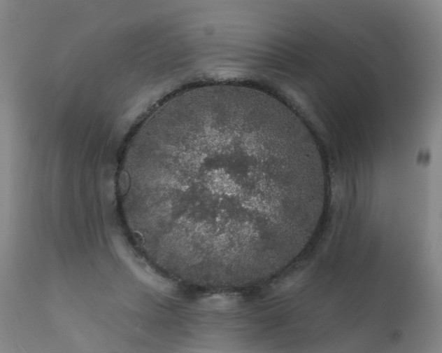 X0000112420447200908211149