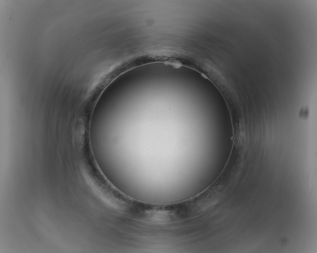 X0000112420448200908211149