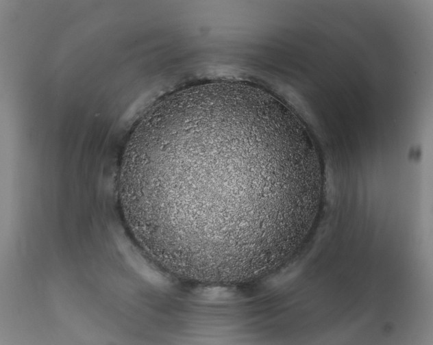 X0000112420449200908211149