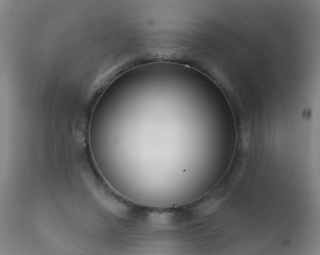 X0000112420450200908211149