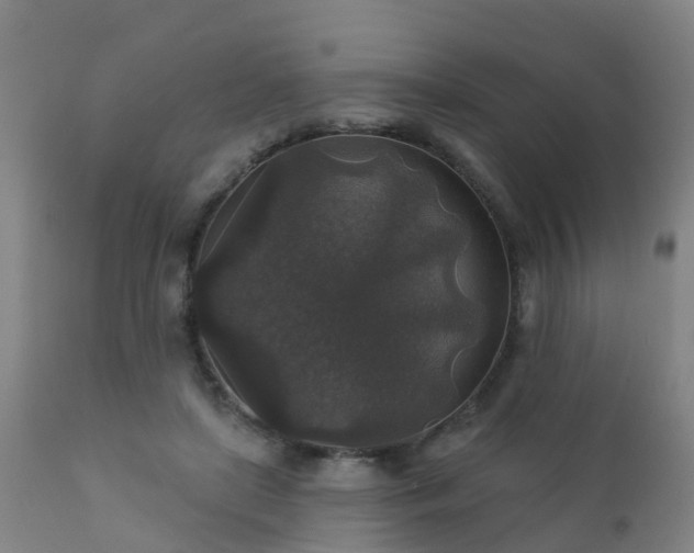 X0000112420451200908211149