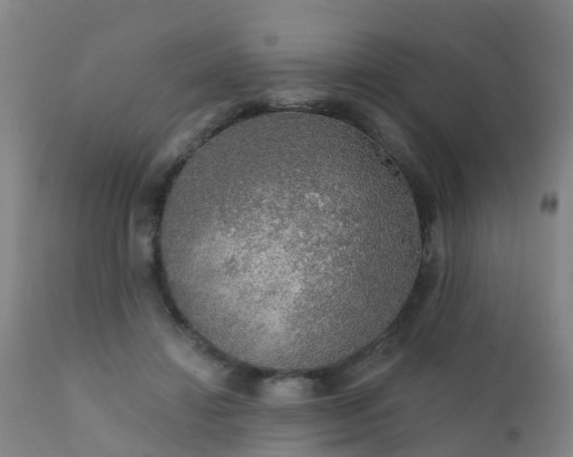 X0000112420452200908211150