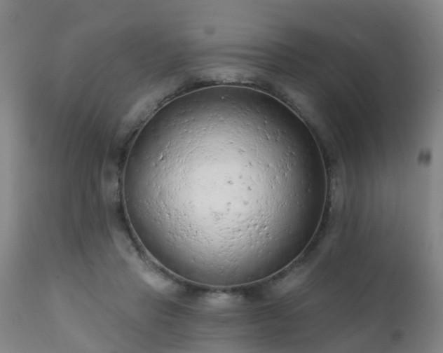 X0000112420453200908211150