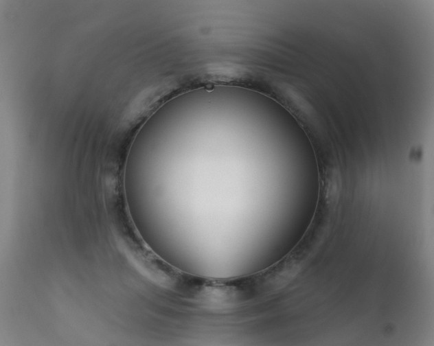 X0000112420455200908211150