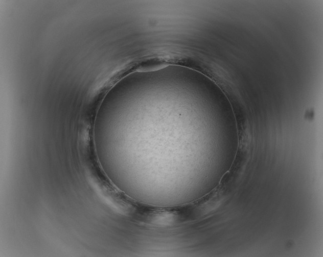 X0000112420456200908211150