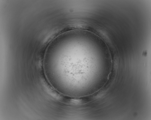 X0000112420457200908211150