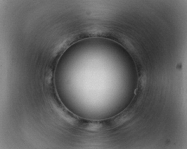 X0000112420458200908211150