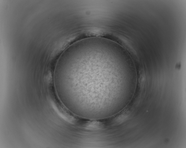 X0000112420459200908211150