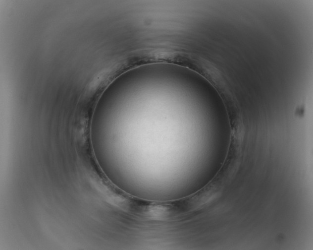 X0000112420462200908211150