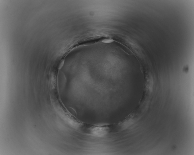 X0000112420465200908211150