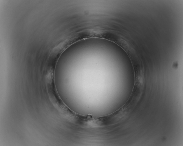 X0000112420468200908211150