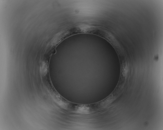 X0000112420471200908211150