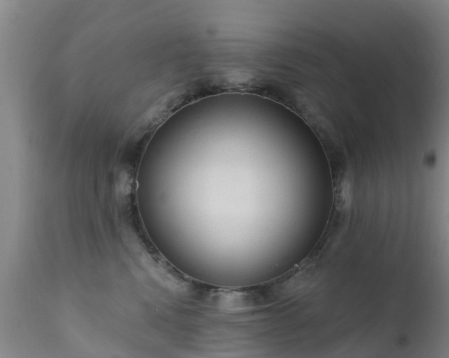 X0000112420472200908211150