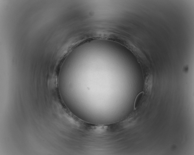 X0000112420474200908211150