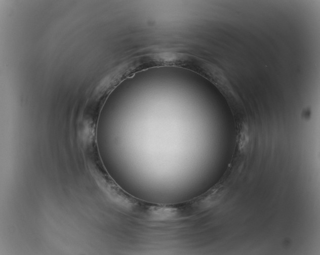 X0000112420476200908211150