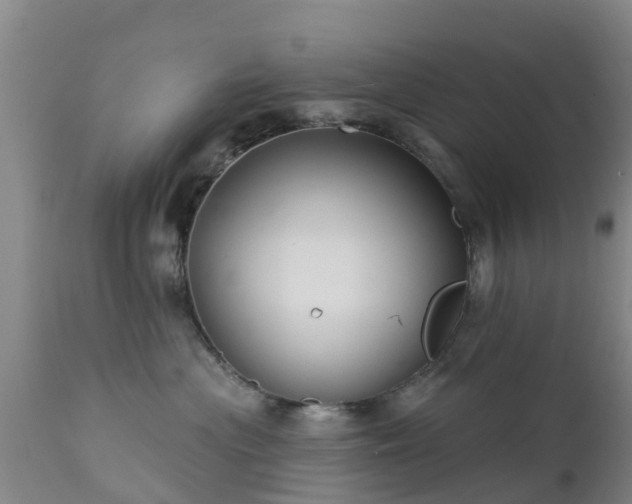 X0000112420477200908211150