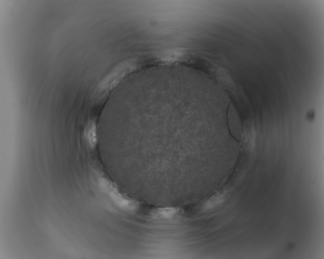 X0000112420479200908211150