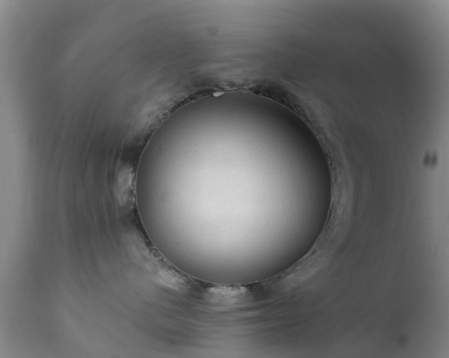 X0000112420480200908211150