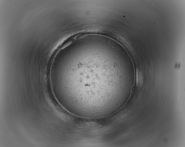 X0000112420483200908211149