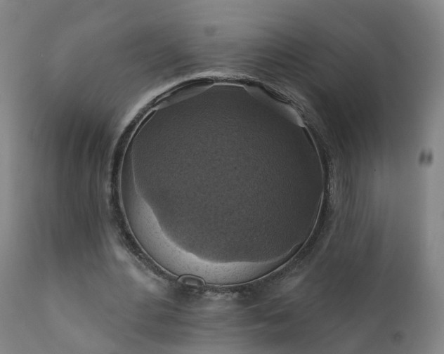 X0000112420484200908211149