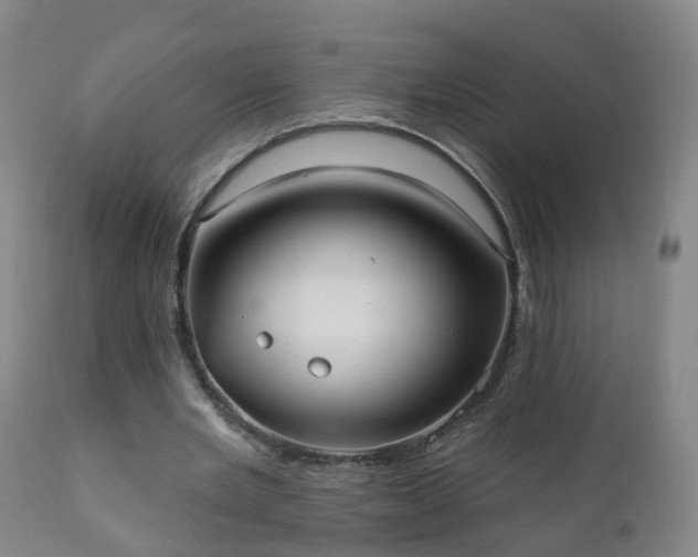 X0000112420485200908211149