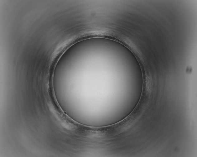 X0000112420486200908211149