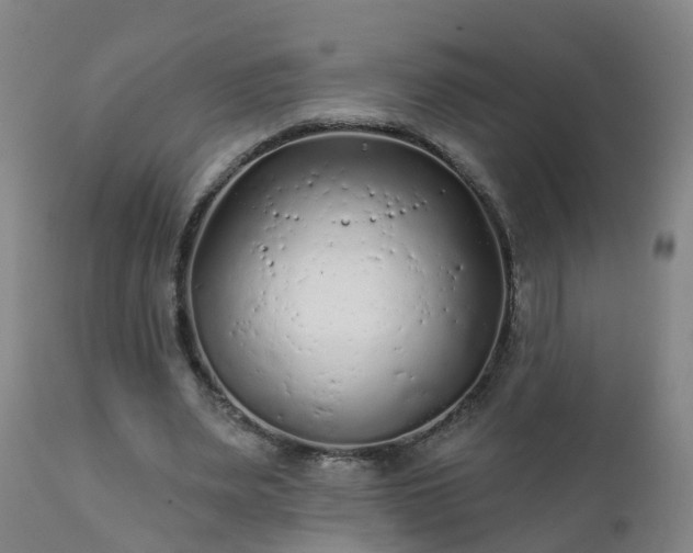 X0000112420487200908211149