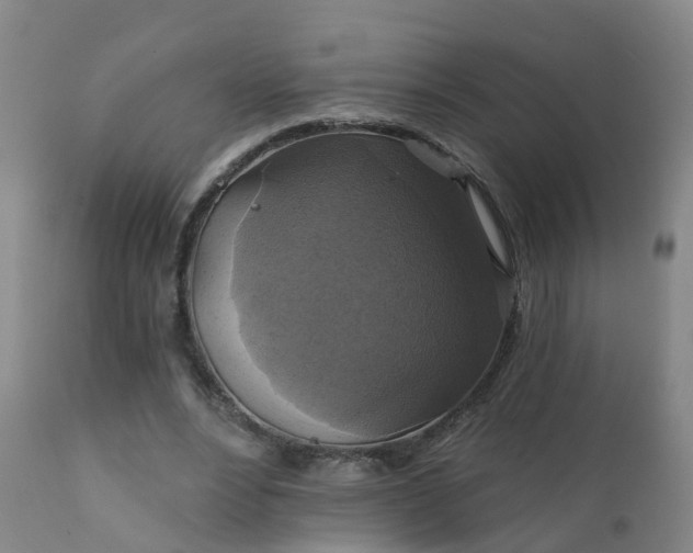 X0000112420488200908211149