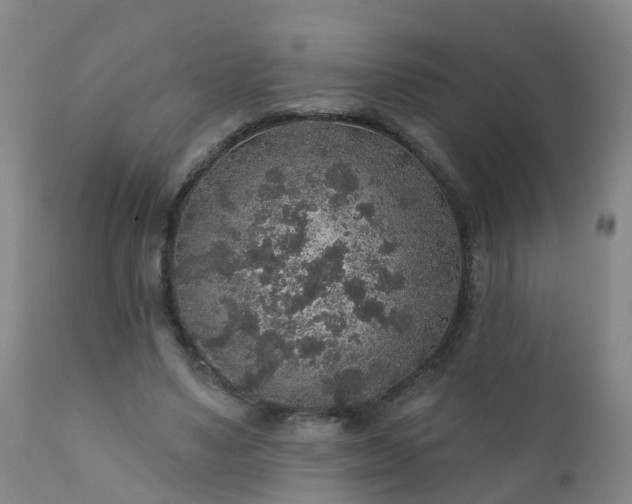 X0000112420491200908211149