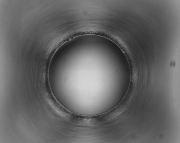 X0000112420493200908211149