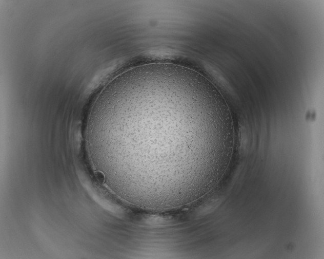 X0000112420494200908211149