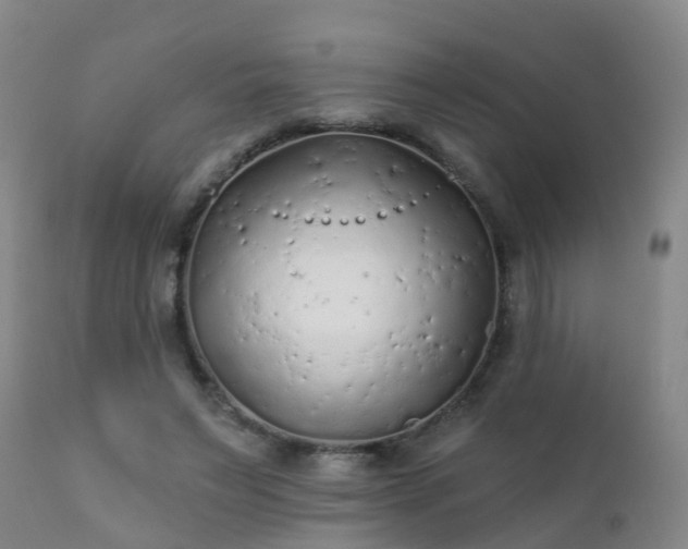 X0000112420495200908211149