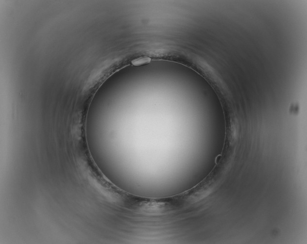 X0000112420497200908211149