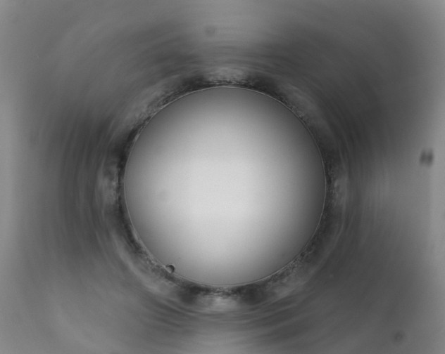 X0000112420498200908211149