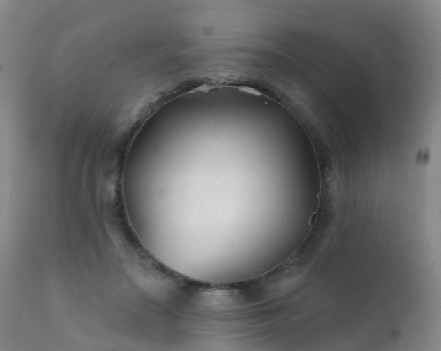 X0000112420499200908211149