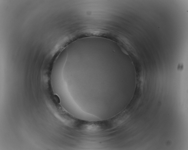 X0000112420500200908211149