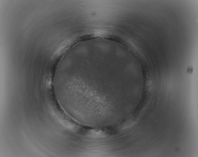 X0000112420502200908211149