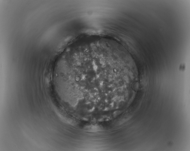 X0000112420503200908211149