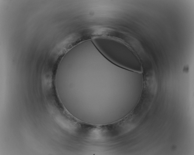 X0000112420504200908211149